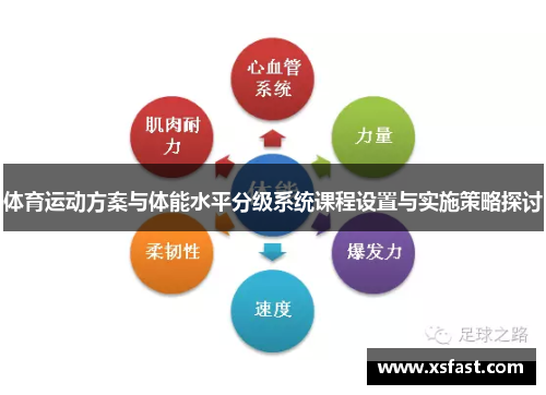 体育运动方案与体能水平分级系统课程设置与实施策略探讨